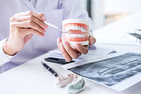 Elizabeth P. Doi, DDS