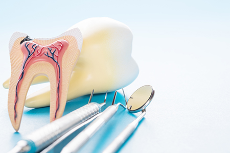 Elizabeth P. Doi, DDS